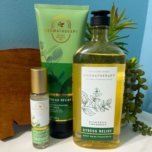 New Bath & Body Works Eucalyptus Spearmint Body Care Gift Set